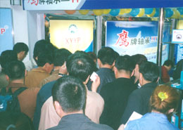 鷹牌軸承(chéng)鄭州參展