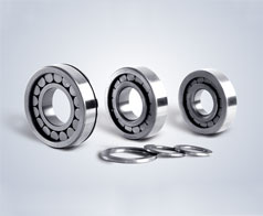 圓柱(zhu)滾子軸承--鷹牌軸(zhou)承