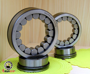 圓(yuan)柱滾子(zǐ)軸承 圓(yuán)柱滾子(zǐ)軸承